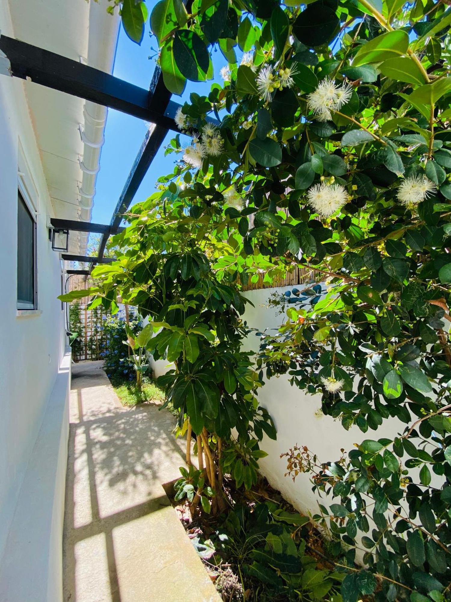 Villa Gem Of Viso Setúbal Exterior foto